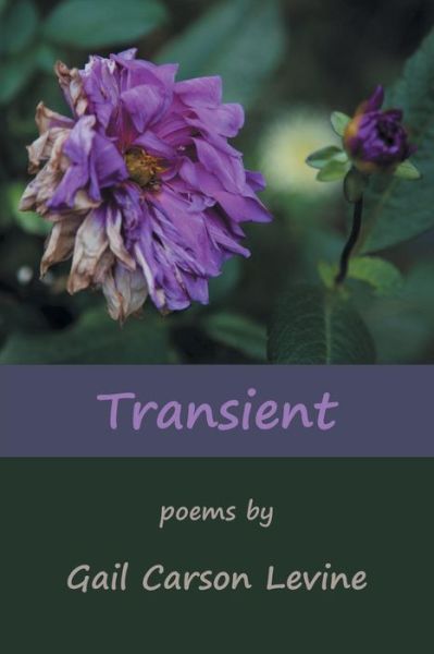 Transient - Gail Carson Levine - Książki - Nightshade Press - 9781879205901 - 16 lipca 2016