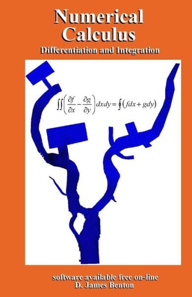Cover for D James Benton · Numerical Calculus (Paperback Bog) (2018)