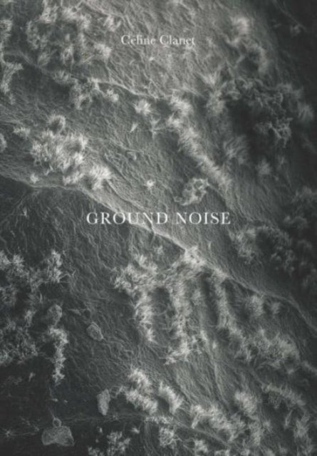 Ground Noise (Gebundenes Buch) (2023)