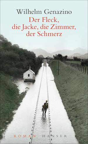 Cover for Wilhelm Genazino · Der Fleck, die Jacke, die Zimmer, der Schmerz (Book) (2023)