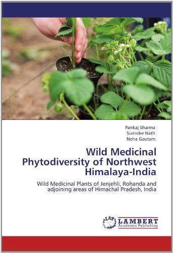 Cover for Neha Gautam · Wild Medicinal Phytodiversity of Northwest Himalaya-india: Wild Medicinal Plants of Jenjehli, Rohanda and Adjoining Areas of Himachal Pradesh, India (Paperback Book) (2012)