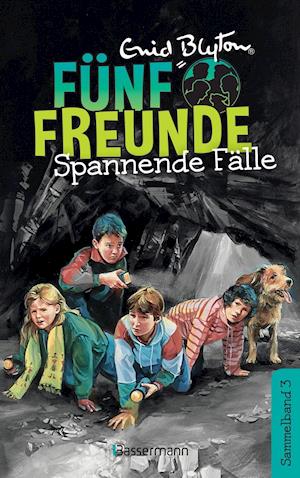 Cover for Blyton · Fünf Freunde-Spannende Fälle (Book)