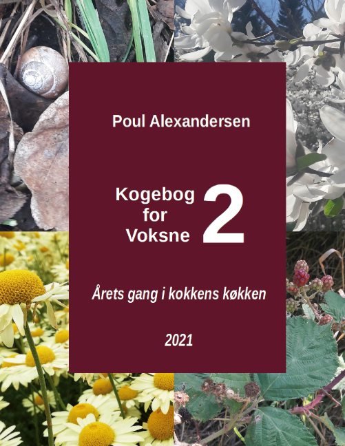 Kogebog for voksne 2 - Poul Alexandersen - Livros - Books on Demand - 9788743044901 - 10 de dezembro de 2021