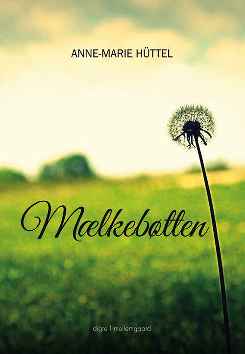 Cover for Anne-Marie Hüttel · Mælkebøtten (Poketbok) [1:a utgåva] (2020)