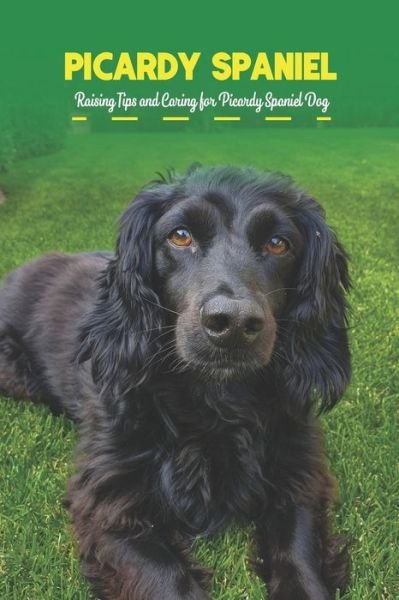 Picardy Spaniel: Raising Tips and Caring for Picardy Spaniel Dog - Gosnell Mollie - Bücher - Independently Published - 9798422935901 - 25. Februar 2022