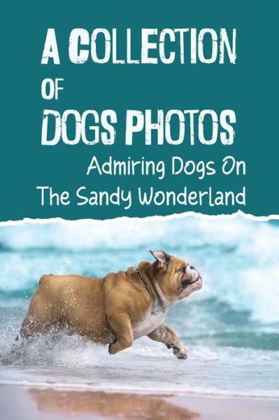 Mary Oris · A Collection Of Dogs Photos (Paperback Book) (2021)