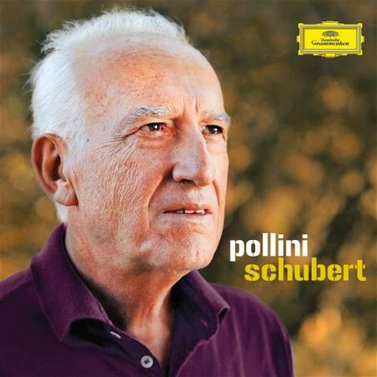 Maurizio Pollini Collection - Maurizio Pollini - Musik - DEUTSCHE GRAMMOPHON - 0028947922902 - 4. November 2013
