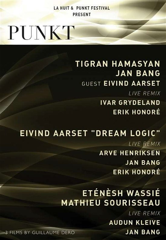 Cover for Punkt Festival (DVD) (2016)