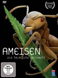 Cover for Ameisen-die Heimliche Weltmacht (DVD) (2012)