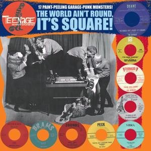 Various Artists · Teenage Shut Down - The World Ain't Rou (Vinyl LP) (LP) (2021)