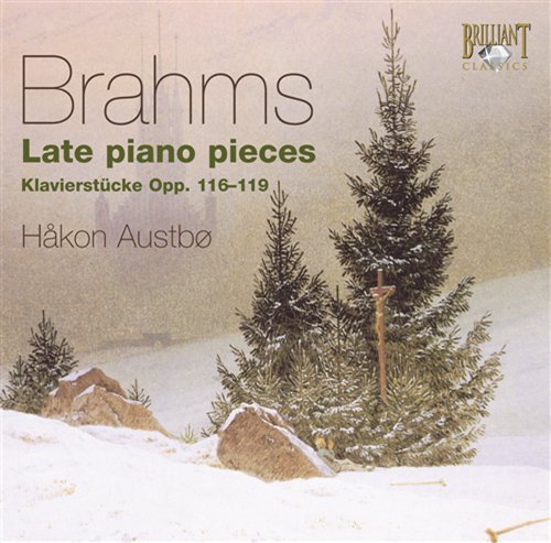Cover for J. Brahms · Klavierstucke Op.116-119 (CD) (2009)