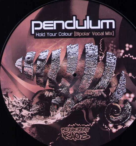 Cover for Pendulum · Hold Your Colour (12&quot;) [Picture Disc edition] (2007)