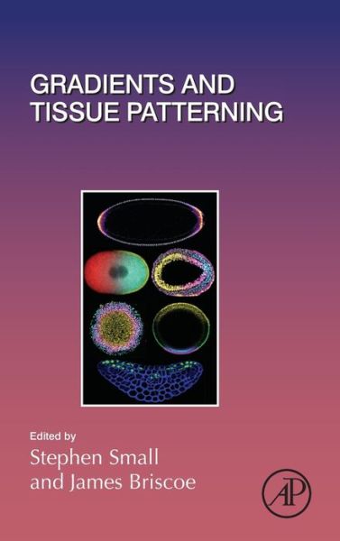 Cover for Stephen Small · Gradients and Tissue Patterning (Gebundenes Buch) (2020)