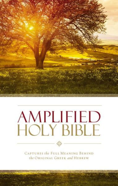 Cover for Zondervan Publishing · Amplified Holy Bible, Paperback: Captures the Full Meaning Behind the Original Greek and Hebrew (Paperback Bog) (2015)