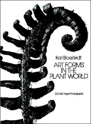 Cover for Karl Blossfeldt · Art Forms in the Plant World - Dover Pictorial Archive (Paperback Book) (2000)