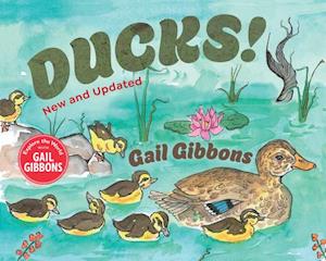 Cover for Gail Gibbons · Ducks! (New and Updated) (Bok) (2025)