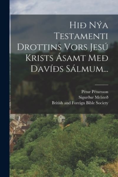 Cover for Pétur Pétursson (Bishop) · Hið Nýa Testamenti Drottins Vors Jesú Krists Ásamt Með Davíðs Sálmum... (Book) (2022)