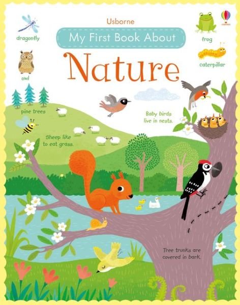 My First book About Nature - Felicity Brooks - Bøger - Usborne Publishing Ltd - 9781409597902 - 3. juni 2016