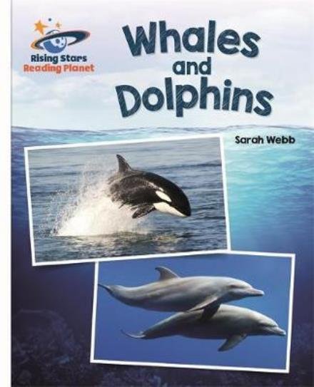 Cover for Sarah Webb · Reading Planet - Whales and Dolphins - White: Galaxy - Rising Stars Reading Planet (Paperback Bog) (2017)