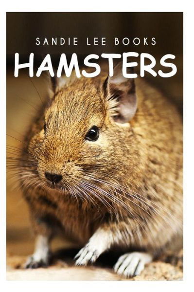 Cover for Curious Kids Press · Hamsters - Sandie Lee Books (Paperback Book) (2014)