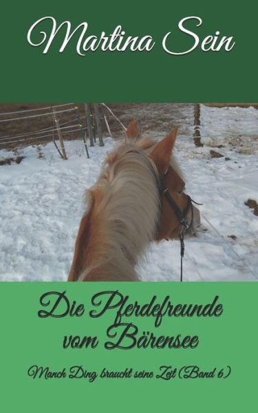 Cover for Martina Sein · Die Pferdefreunde vom Bärensee Manch Ding braucht seine Zeit (Paperback Book) (2017)