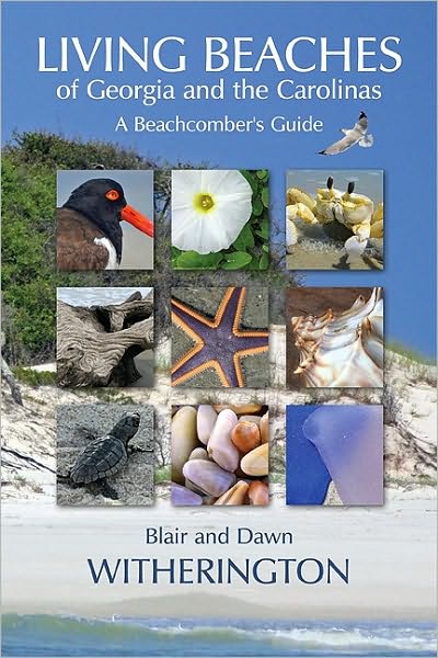 Cover for Blair Witherington · Living Beaches of Georgia and the Carolinas (Paperback Book) (2011)