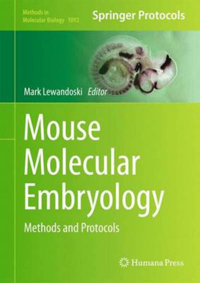 Cover for M Lewandowski · Mouse Molecular Embryology: Methods and Protocols - Methods in Molecular Biology (Hardcover Book) (2013)
