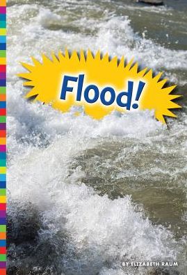 Flood! - Elizabeth Raum - Książki - Amicus - 9781607539902 - 1 sierpnia 2016