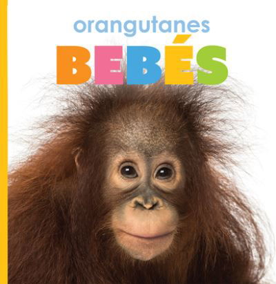 Cover for Kate Riggs · Orangutanes Bebés (Buch) (2021)