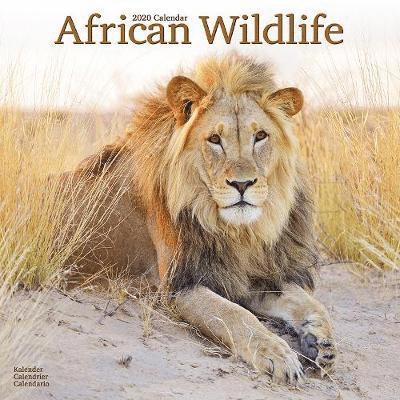 Kal. African Wildlife - Afrikanische Ti - Avonside Publishing Ltd - Books - Avonside Publishing Ltd - 9781785806902 - July 1, 2019