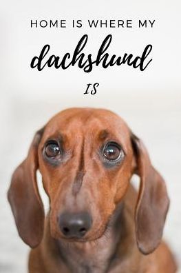 Cover for Love Dogs · Home Is Where My Dachshund Is (Paperback Book) (2019)