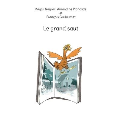 Cover for Magali Nayrac · Le grand saut (Paperback Book) (2021)