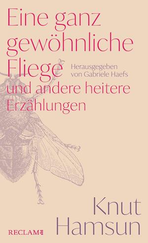 Cover for Knut Hamsun · Eine ganz gewöhnliche Fliege und andere heitere Erzählungen (Book) (2024)