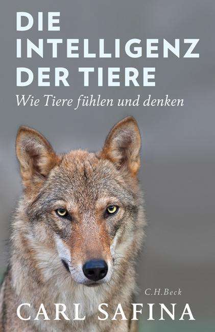 Die Intelligenz der Tiere - Safina - Książki -  - 9783406707902 - 