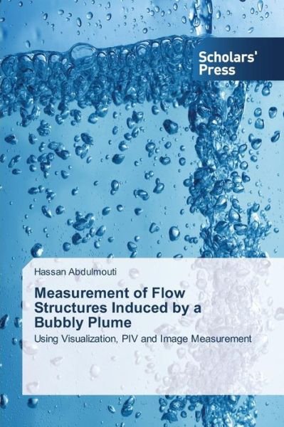 Cover for Abdulmouti Hassan · Measurement of Flow Structures Induced by a Bubbly Plume (Paperback Book) (2013)