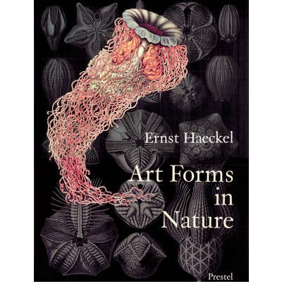 Art Forms in Nature: The Prints of Ernst Haeckel - Olaf Breidbach - Kirjat - Prestel - 9783791319902 - lauantai 1. elokuuta 1998