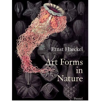 Cover for Olaf Breidbach · Art Forms in Nature: The Prints of Ernst Haeckel (Paperback Book) [Illustrated edition] (1998)