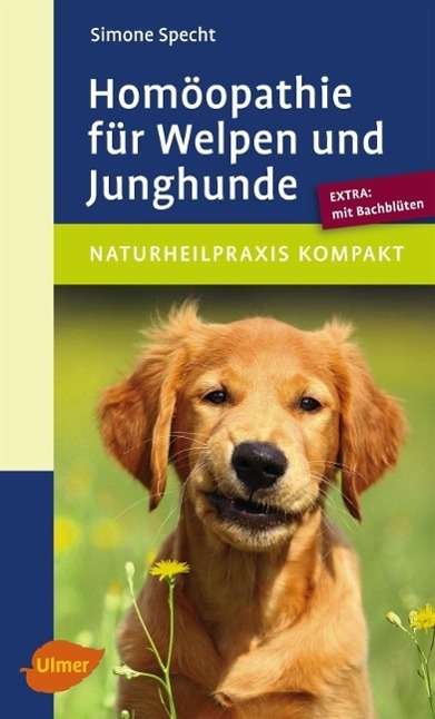 Cover for Specht · Homöopathie für Welpen und Jungh (Buch)