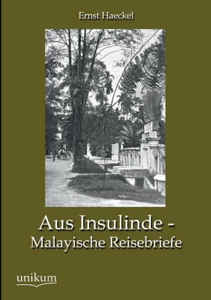 Aus Insulinde - Malayische Reisebriefe - Ernst Haeckel - Bøker - UNIKUM - 9783845744902 - 20. desember 2012