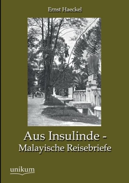 Cover for Ernst Haeckel · Aus Insulinde - Malayische Reisebriefe (Paperback Bog) [German edition] (2012)