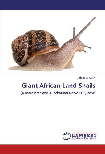 Cover for Adebayo Mary · Giant African Land Snails: (A.marginata and A. Achatina) Nervous Systems (Paperback Book) (2012)