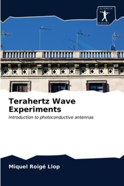 Cover for Miquel Roigé Llop · Terahertz Wave Experiments (Paperback Bog) (2020)