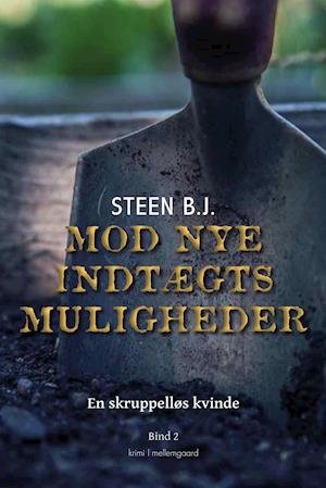 Cover for Steen B.J. · En skruppelløs kvinde bind 2: Mod nye indtægtsmuligheder (Sewn Spine Book) [1.º edición] (2021)