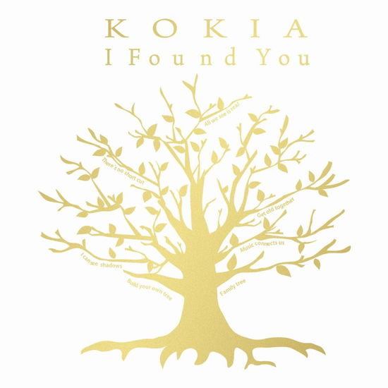 Cover for Kokia · I Found You &lt;limited&gt; (CD) [Japan Import edition] (2015)