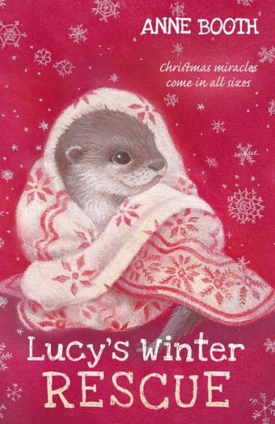 Cover for Anne Booth · Lucy's Winter Rescue (Paperback Book) (2016)