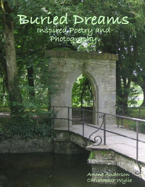Cover for Arlene Anderson · Buried Dreams (Book) (2008)