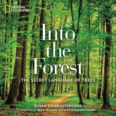 Cover for Susan Tyler Hitchcock · Into the Forest: The Secret Language of Trees (Hardcover Book) (2022)
