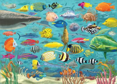All the Fish 1000 Piece Jigsaw Puzzle - Peter Pauper Press Inc - Other - Peter Pauper Press, Inc - 9781441336903 - April 14, 2021
