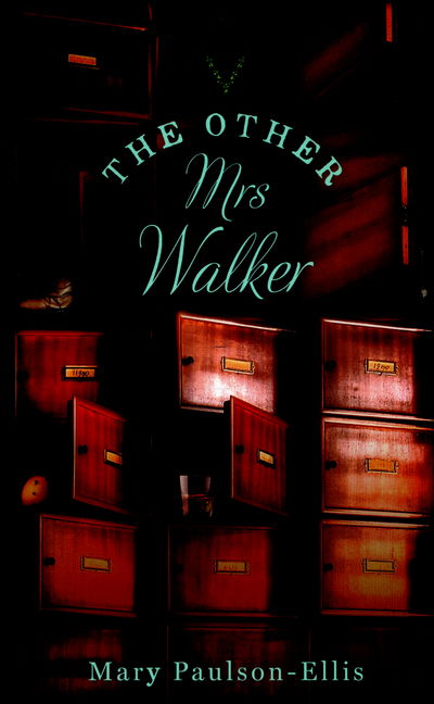 Cover for Mary Paulson-Ellis · Other Mrs Walker (Hardcover Book) [Main Market Ed. edition] (2016)