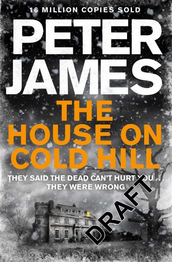 Cover for Peter James · The House on Cold Hill (Paperback Bog) (2016)